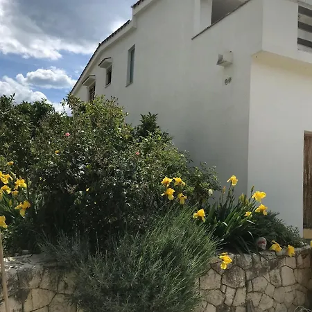 House Matea Holiday home *